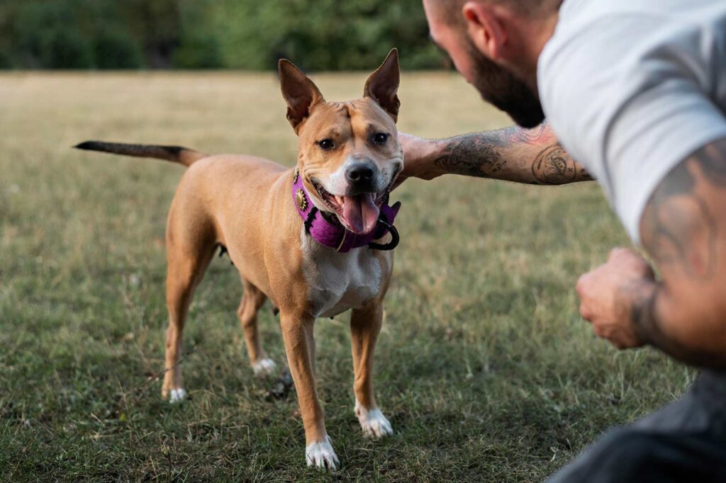 man-enjoying-some-quality-time-with-his-dog